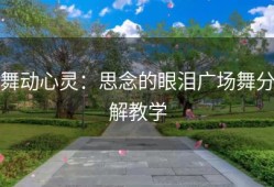 舞动心灵：思念的眼泪广场舞分解教学