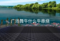 广场舞牛什么牛串烧