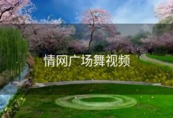 情网广场舞视频