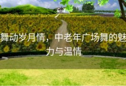 舞动岁月情，中老年广场舞的魅力与温情
