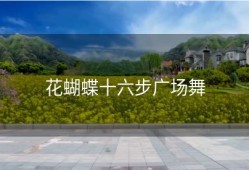 花蝴蝶十六步广场舞