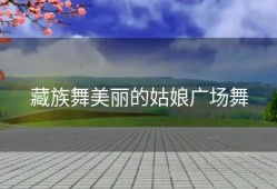 藏族舞美丽的姑娘广场舞