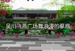 吴川飞燕广场舞浪漫的草原