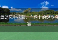 舞动风中花蕾，广场上的健身盛宴