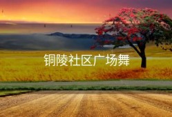 铜陵社区广场舞