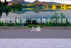 梅花没有泪：广场舞中的诗意与力量
