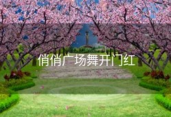 俏俏广场舞开门红