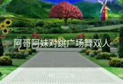 阿哥阿妹对跳广场舞双人