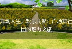舞动人生，欢乐共聚：广场舞社团的魅力之旅