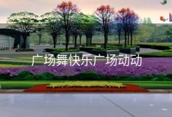 广场舞快乐广场动动