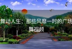 舞动人生：那些风靡一时的广场舞视频