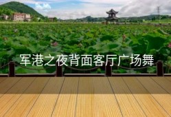 军港之夜背面客厅广场舞