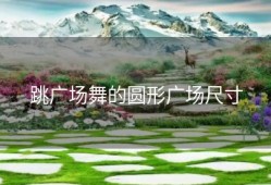 跳广场舞的圆形广场尺寸