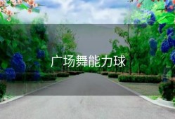 广场舞能力球