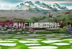 西村广场舞祖国你好