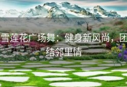 雪莲花广场舞：健身新风尚，团结邻里情