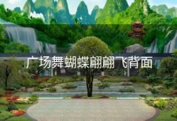 广场舞蝴蝶翩翩飞背面
