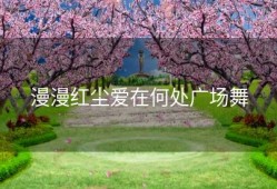 漫漫红尘爱在何处广场舞