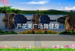 芦花美广场舞健身