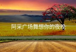 阿采广场舞想你的夜晚