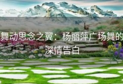 舞动思念之翼：杨丽萍广场舞的深情告白