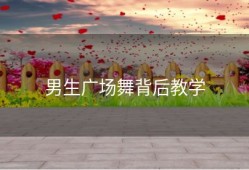 男生广场舞背后教学