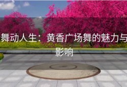 舞动人生：黄香广场舞的魅力与影响