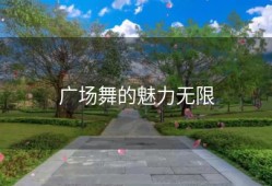 广场舞的魅力无限