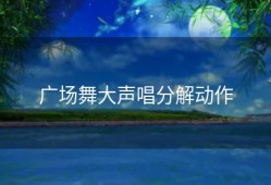 广场舞大声唱分解动作