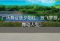 广场舞绽放夕阳红：放飞梦想，舞动人生