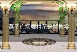 燕子广场舞村花分解教学