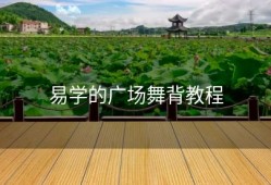 易学的广场舞背教程