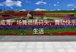 威海广场舞燃情码头，舞动快乐生活