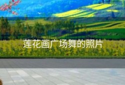 莲花画广场舞的照片