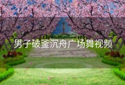 男子破釜沉舟广场舞视频