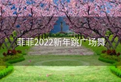 菲菲2022新年跳广场舞