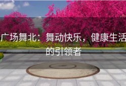 广场舞北：舞动快乐，健康生活的引领者