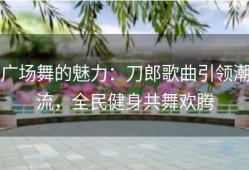 广场舞的魅力：刀郎歌曲引领潮流，全民健身共舞欢腾