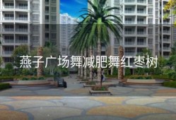 燕子广场舞减肥舞红枣树