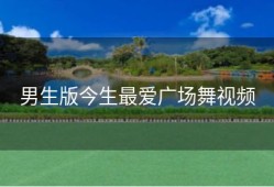 男生版今生最爱广场舞视频