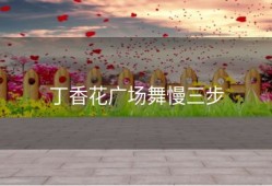 丁香花广场舞慢三步