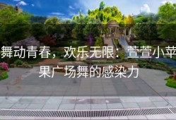 舞动青春，欢乐无限：萱萱小苹果广场舞的感染力