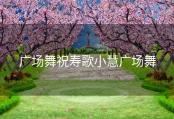 广场舞祝寿歌小慧广场舞