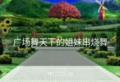 广场舞天下的姐妹串烧舞