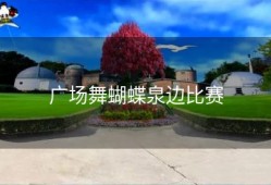 广场舞蝴蝶泉边比赛