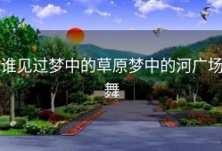 谁见过梦中的草原梦中的河广场舞