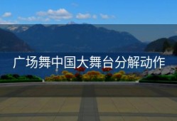 广场舞中国大舞台分解动作