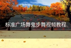 标准广场舞鬼步舞视频教程