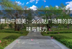 舞动中国美：么么哒广场舞的韵味与魅力