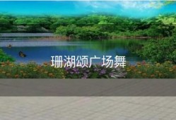 珊湖颂广场舞